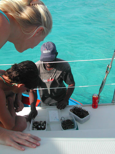 26) genn 2003  CARAIBI