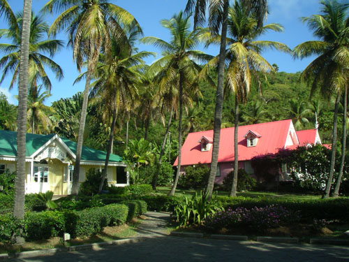 37) mustique