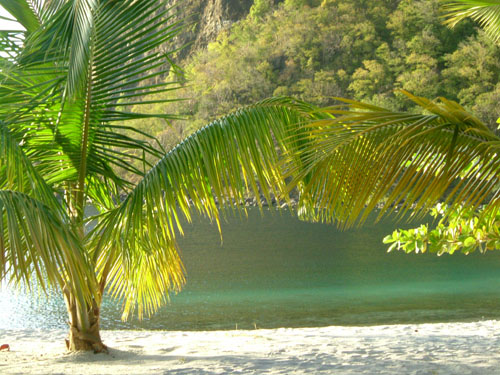 67) mustique