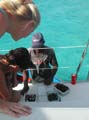 26) genn 2003  CARAIBI