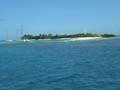 60 ) palm island