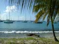 64) mustique
