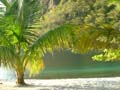 67) mustique