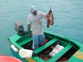 80) tobago cays