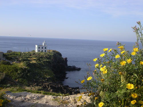 03 capraia