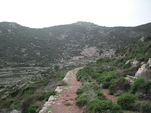 28 capraia  VELA TREKKING