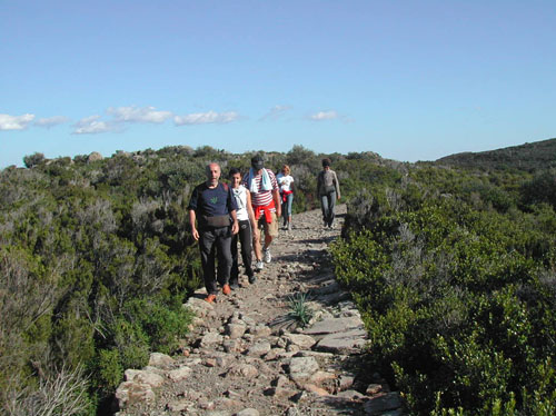 32 capraia  VELA TREKKING