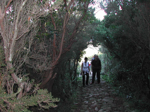 33 capraia  VELA TREKKING