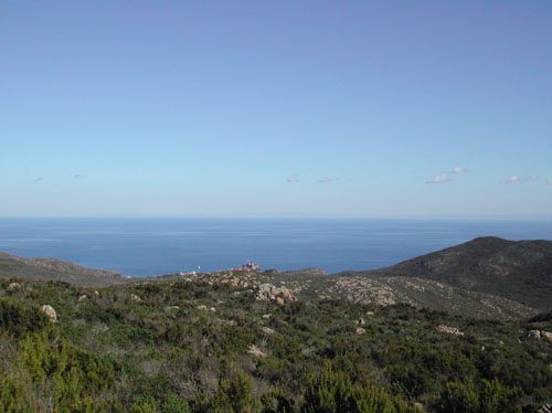 34 capraia  VELA TREKKING