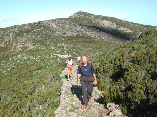 36   capraia  VELA TREKKING