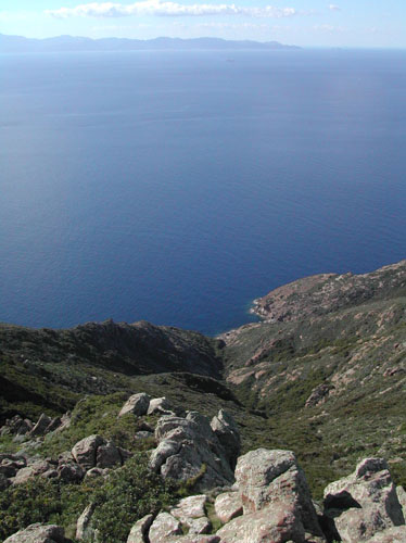 40 capraia VELA TREKKINGcapocorso