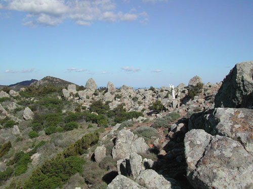 43 capraia VELA TREKKING la vetta