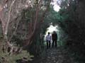33 capraia  VELA TREKKING