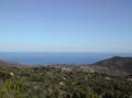 34 capraia  VELA TREKKING