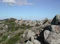 43 capraia VELA TREKKING la vetta