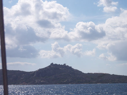 13 capo d'orso