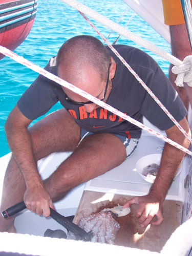 05 dal mare alla barca