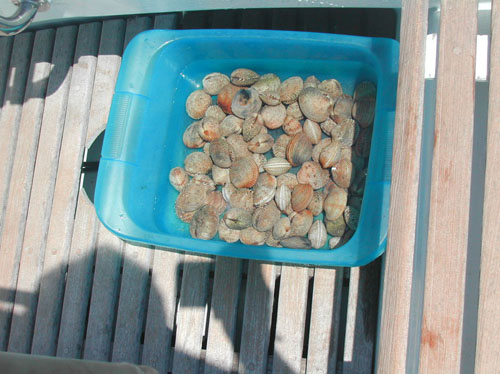 07 dal mare alla barca