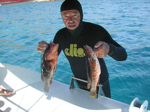 10 dal mare alla barca