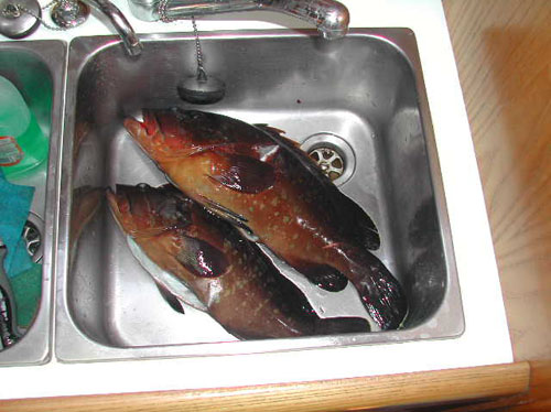 35 dal mare alla barca