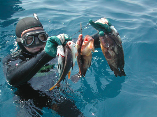 46 dal mare alla barca