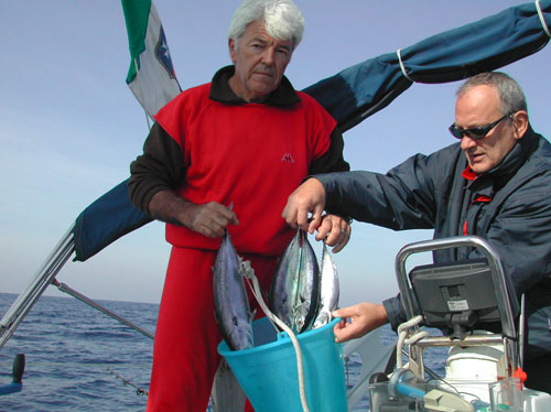 50 dal mare alla barca