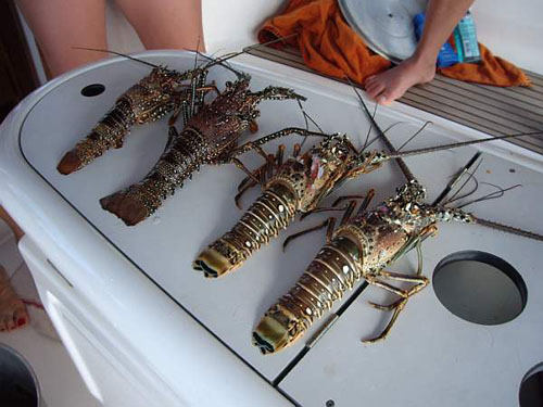 62 dal mare alla barca