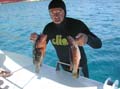 10 dal mare alla barca