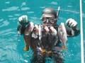 25 dal mare alla barca