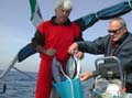 50 dal mare alla barca
