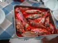 61 dal mare alla barca