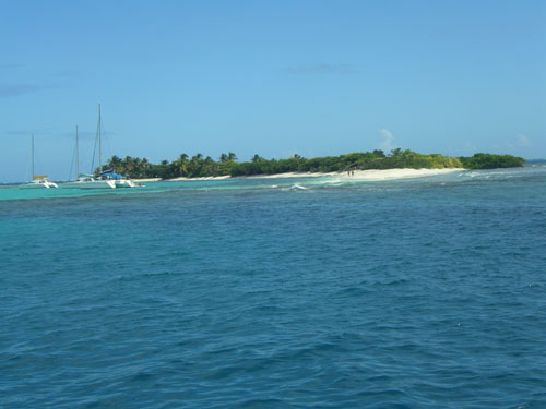 60 ) palm island
