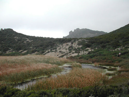 30 capraia  VELA TREKKING