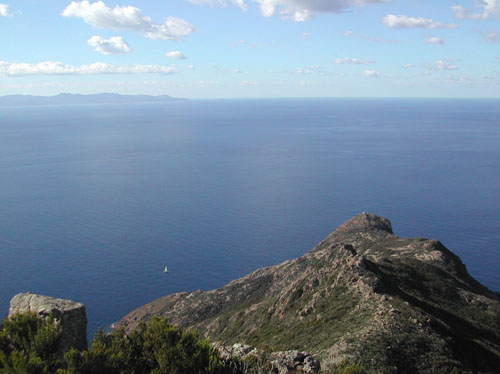 37 capraia  VELA TREKKING CAPOCORSO