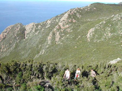 38 capraia VELA TREKKING