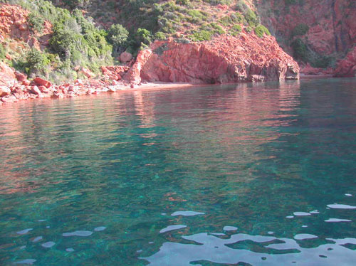 15 )  qui ho la residenza