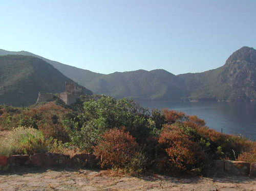 39 ) in fondo al golfo