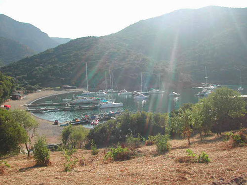 42 ) LA GIROLATA 