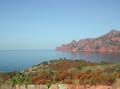 22 ) il golfo